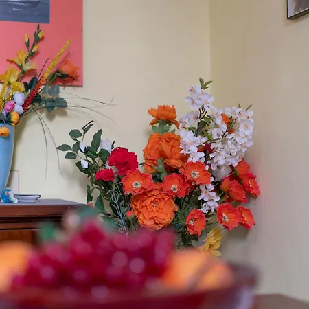 Apartament L'altra Luna - Centro *